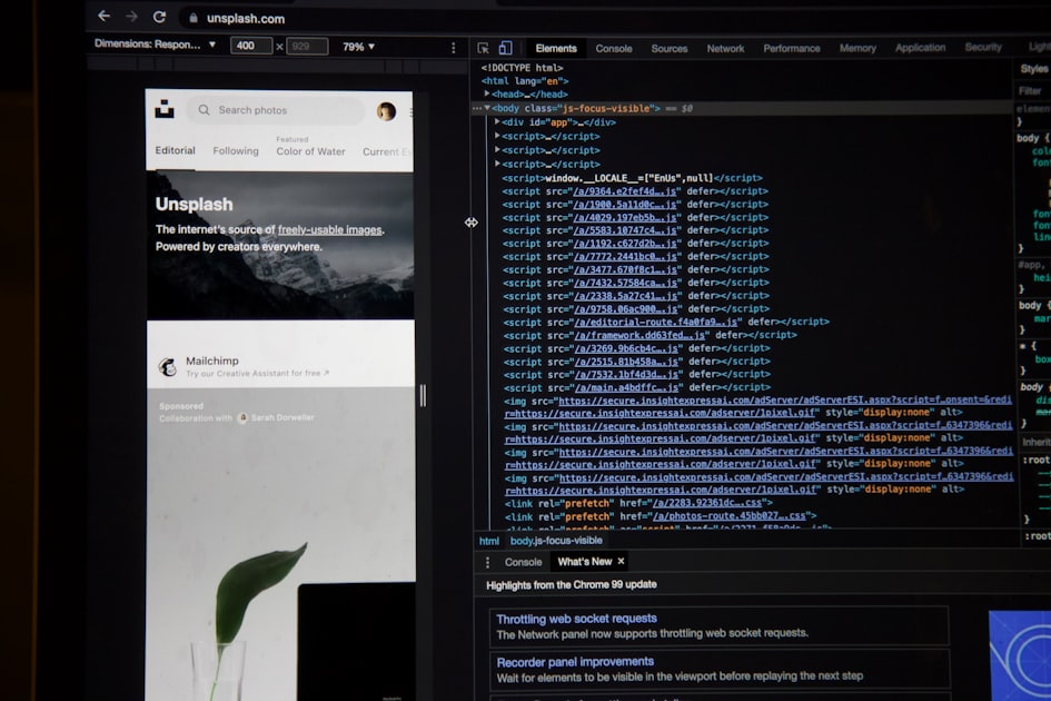 Essential Plugins for WordPress